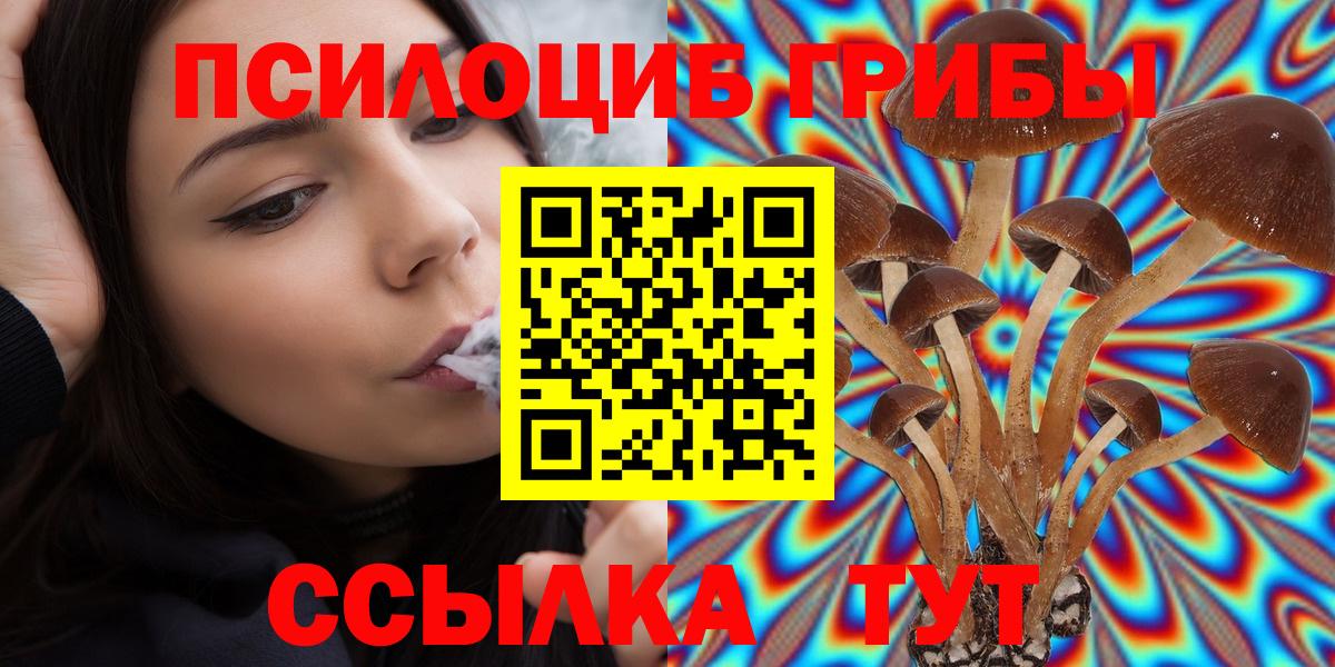 Псилоцибиновые грибы Psilocybine cubensis  Галлюциногенные грибы MAGIC MUSHROOMS  Вход с VPN  Ржев 