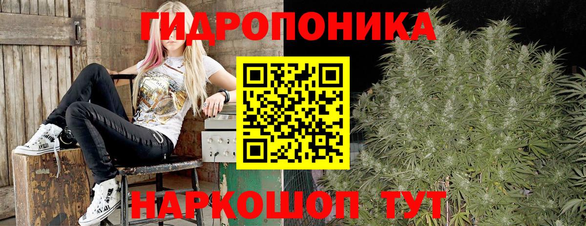 Конопля AK-47  МАРИХУАНА конопля  Конопля LSD WEED  Ржев  Вход с VPN 